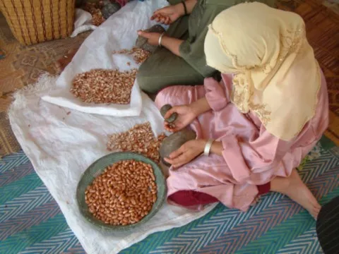 coopérative féminine d'huile d'argan